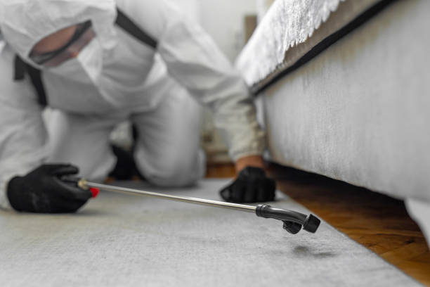 Professional Termite Control technician working in Oakes, ND