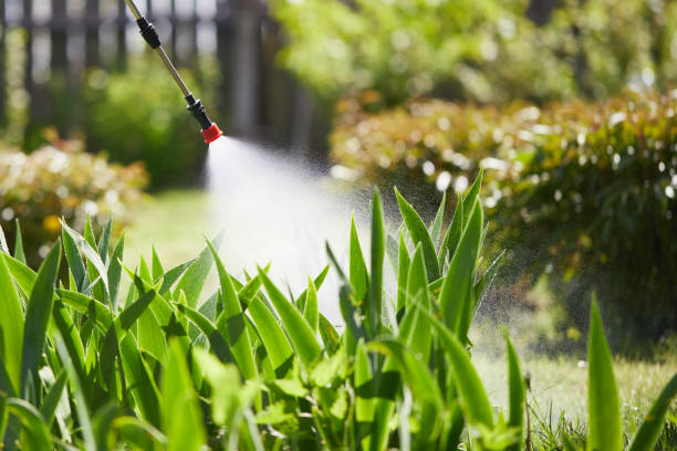 24/7 Emergency Termite Control experts in Oakes, ND
