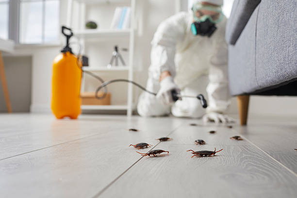 Affordable Termite Control solutions in Oakes, ND