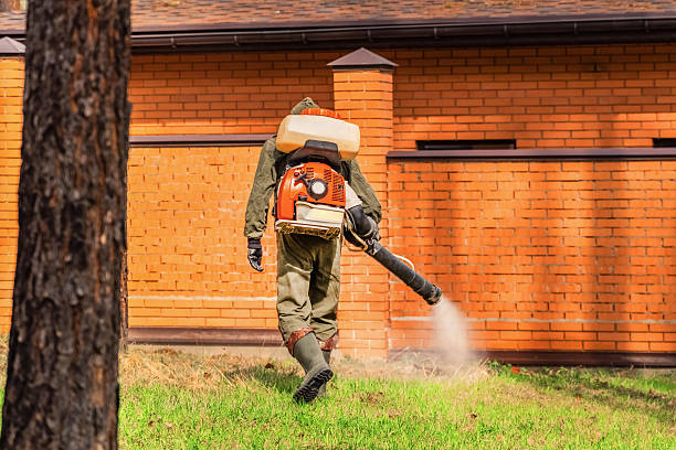 Top rated local Termite Control specialists in Oakes, ND